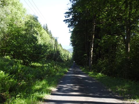 Foto 50